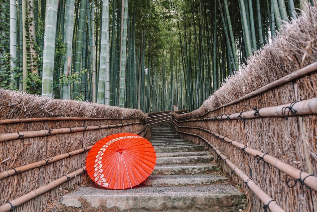 Kyoto bamboo groves of Arashiyama