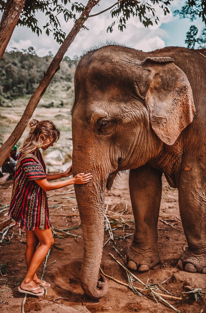 Animal Tourism - woman and elephant - faq