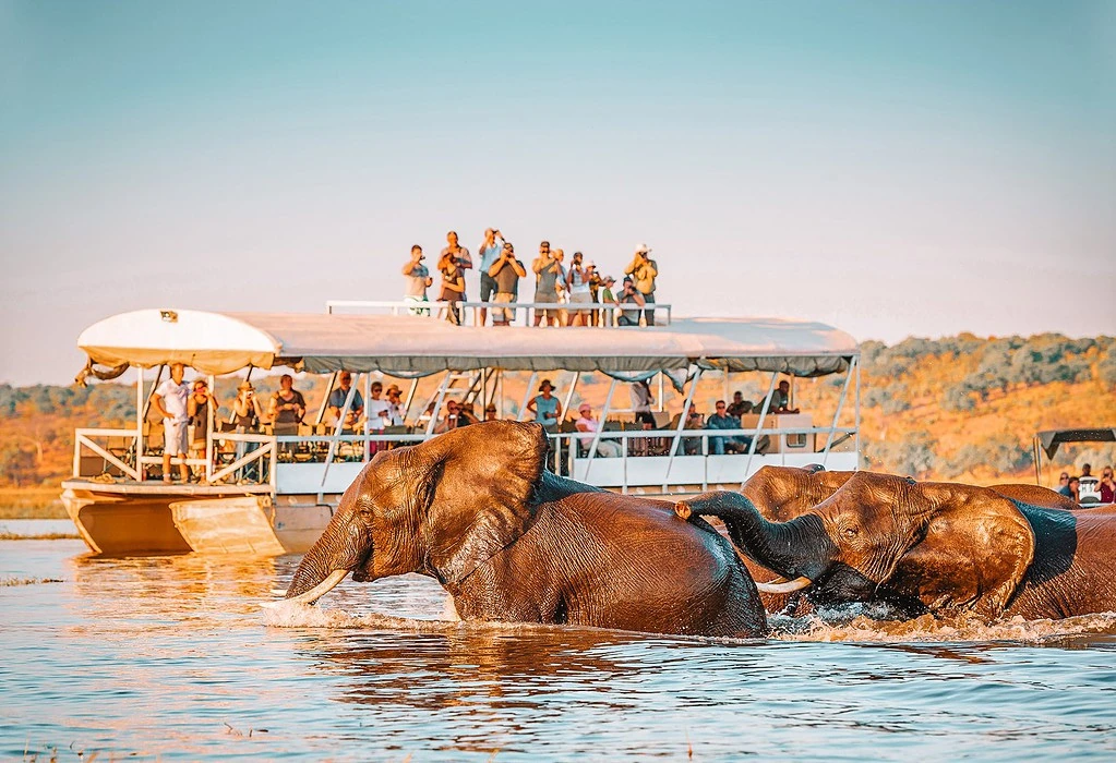 responsible travel - happy elephants