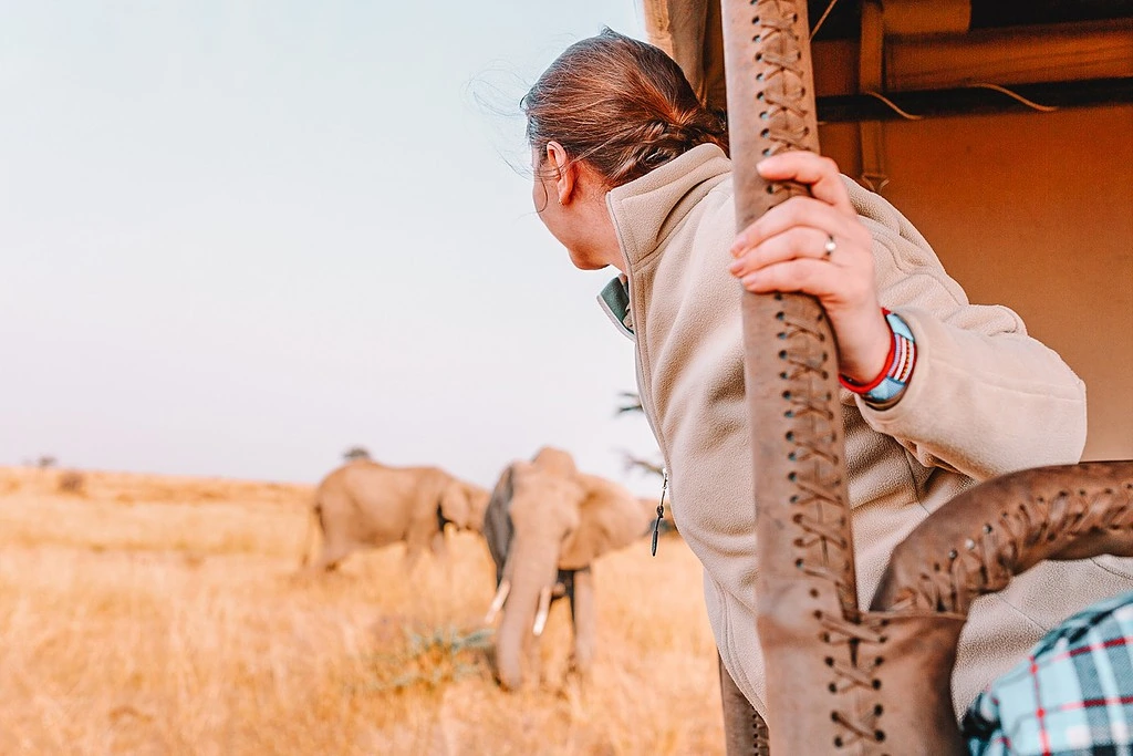 animal tourism - safari