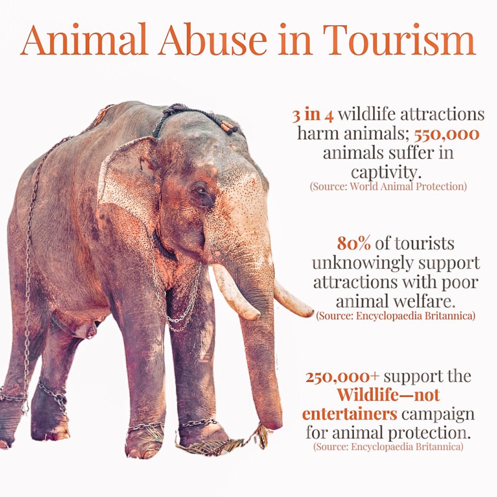  Animal Abuse in Tourism - Infographic (elephant in chains and data)