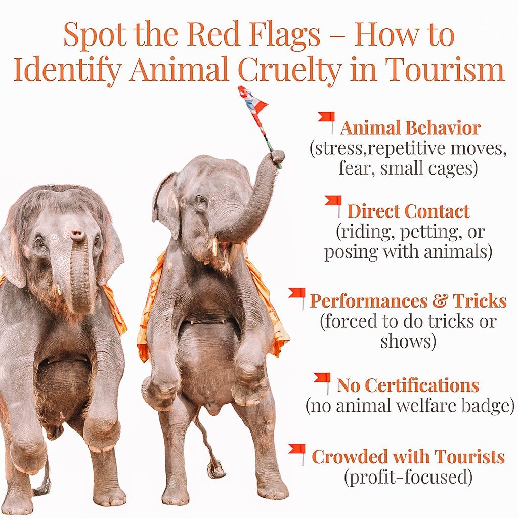 Spot the red flags - how to identify animal cruelty in tourism - infographics