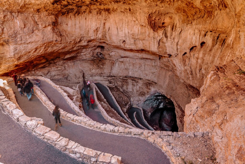  Cave Exploration in Protected Bat Habitats - Carlsbad Caverns - ethical animal tourism