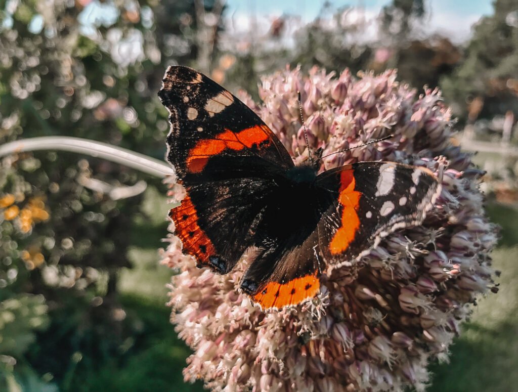 ethical animal tourism - botanical garden