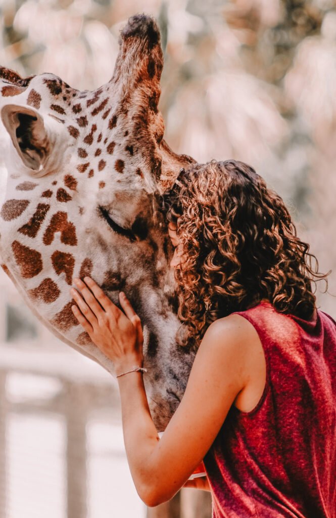 responsible travel - kind woman and a 
giraffe