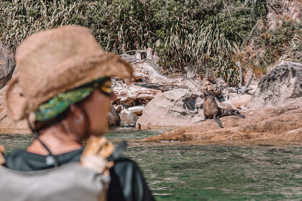 Kayaking and Canoeing in Wildlife Habitats 