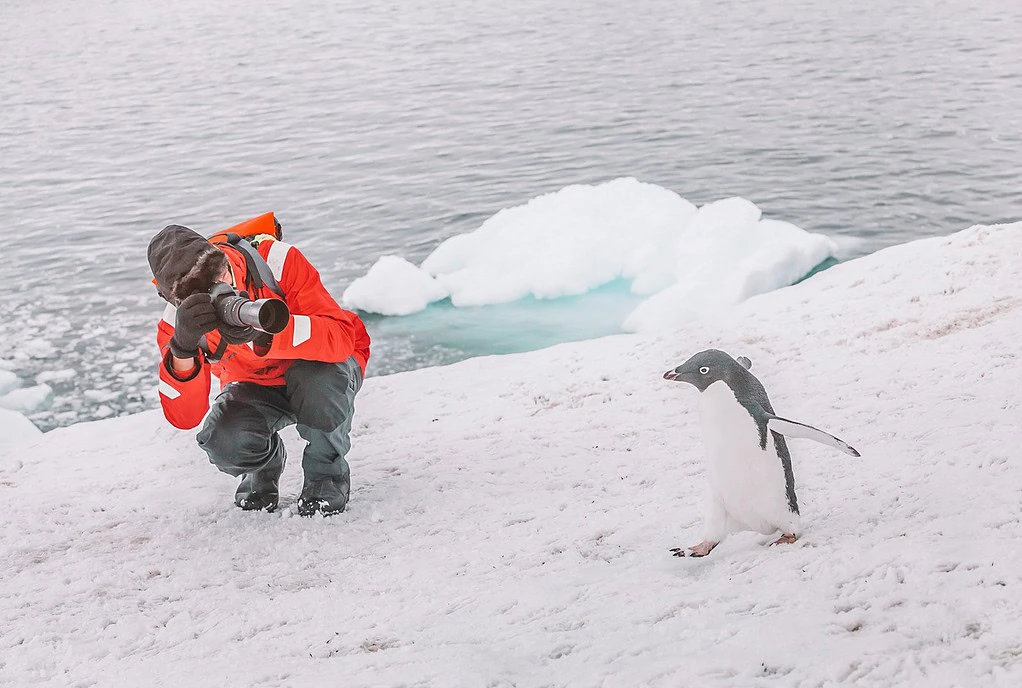 Wilderness Photography Tours - ethical animal tourism