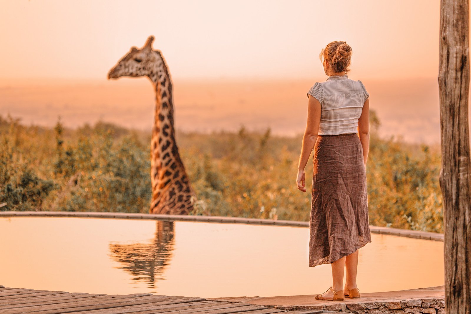 Letter to Travel Industry: Stand Up for Animals | Responsible Travel