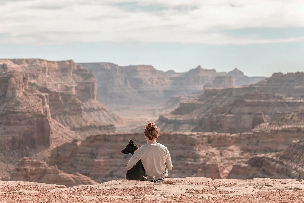 Arizona Road Trip