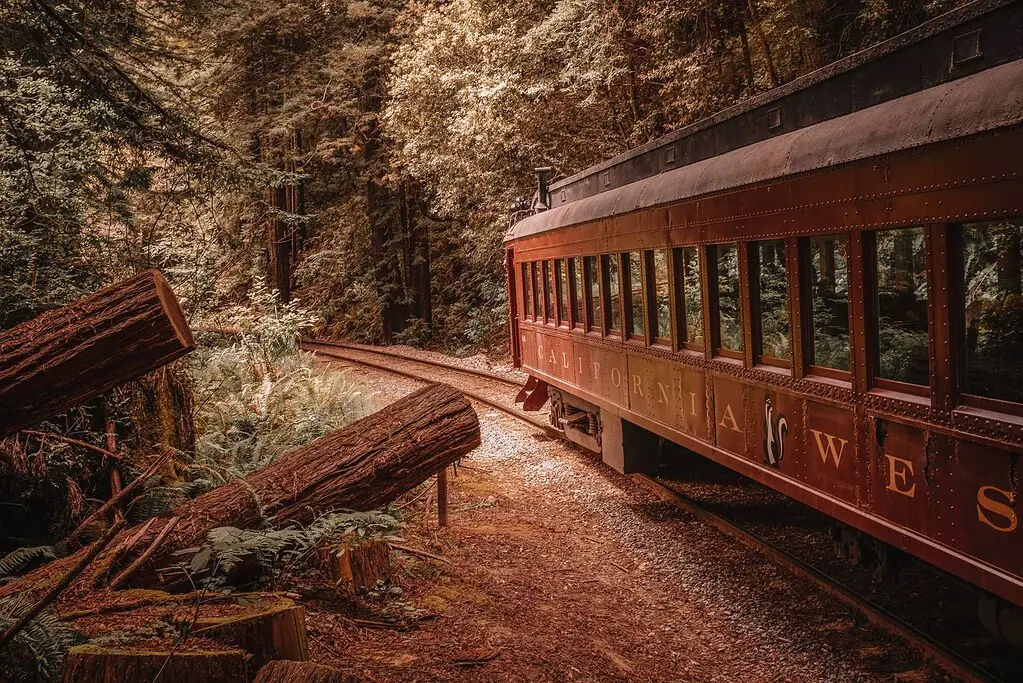 G Adventures Rail Collection Train Tours for Solo Travelers - GlobeGal Journeys